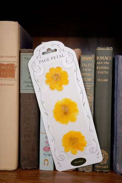 October Cosmos Bookmark | Birth Month Flower Gift