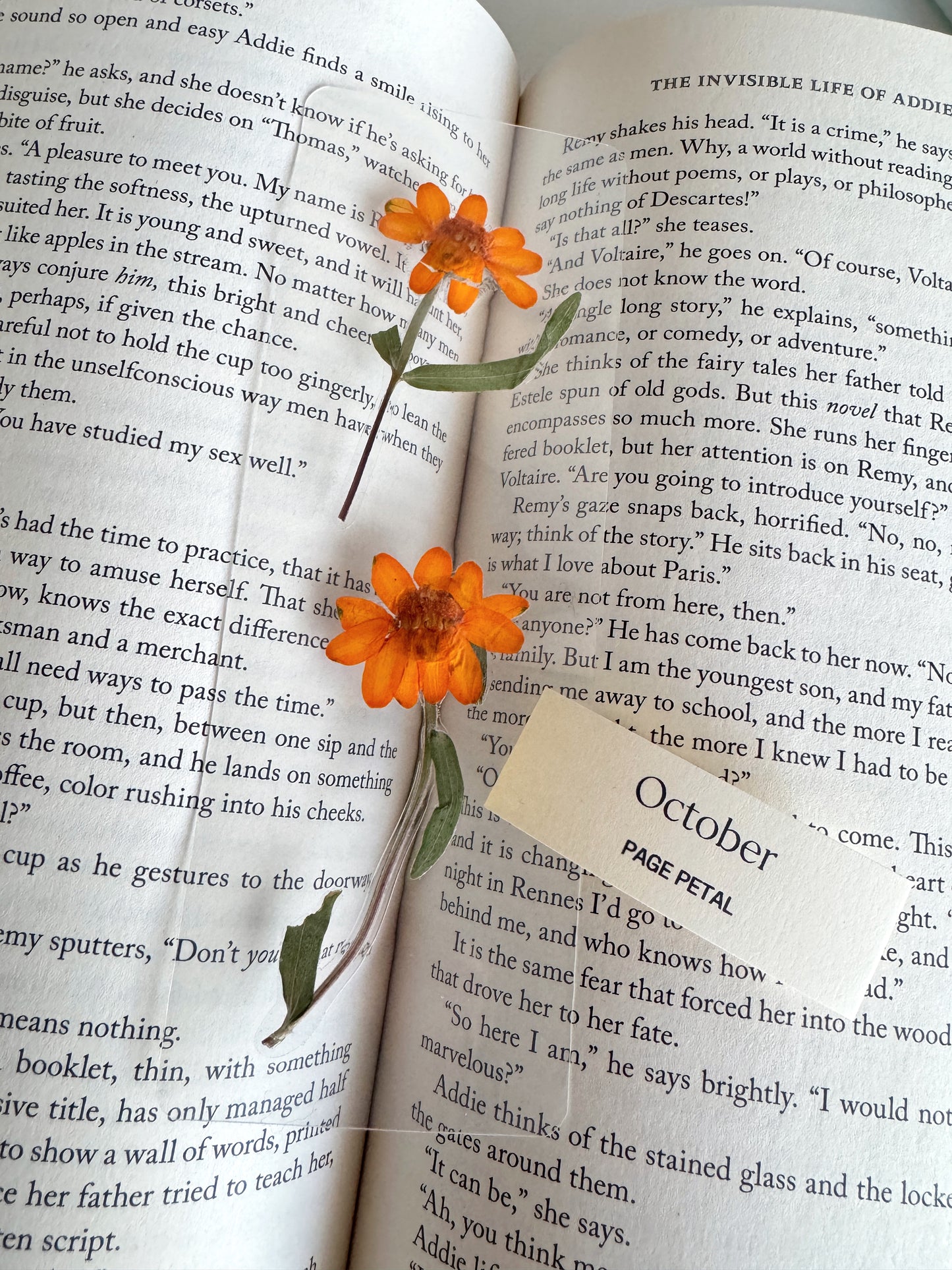 October Birth Month Flower Bookmark