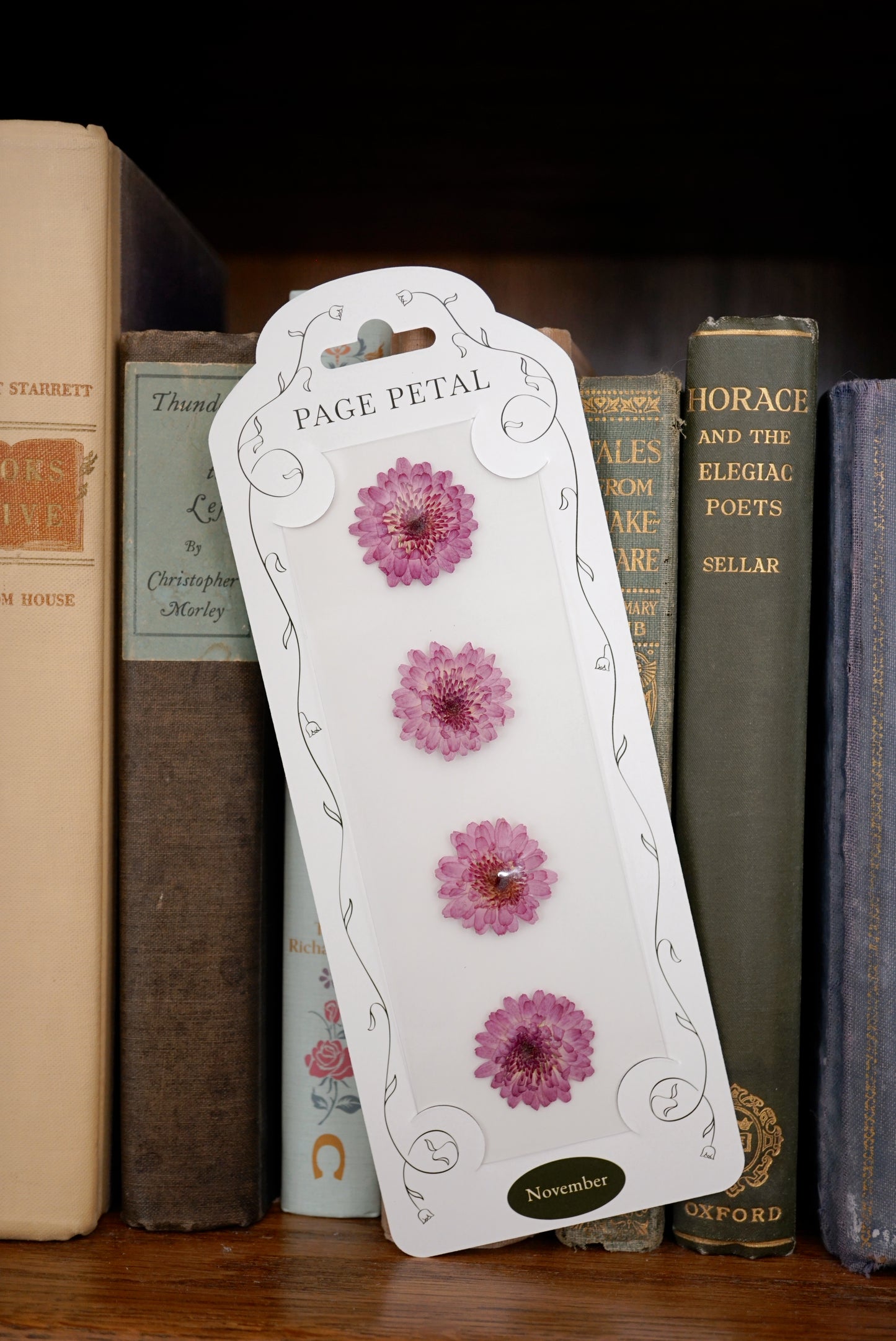 November Chrysanthemum Bookmark | Birth Month Gift