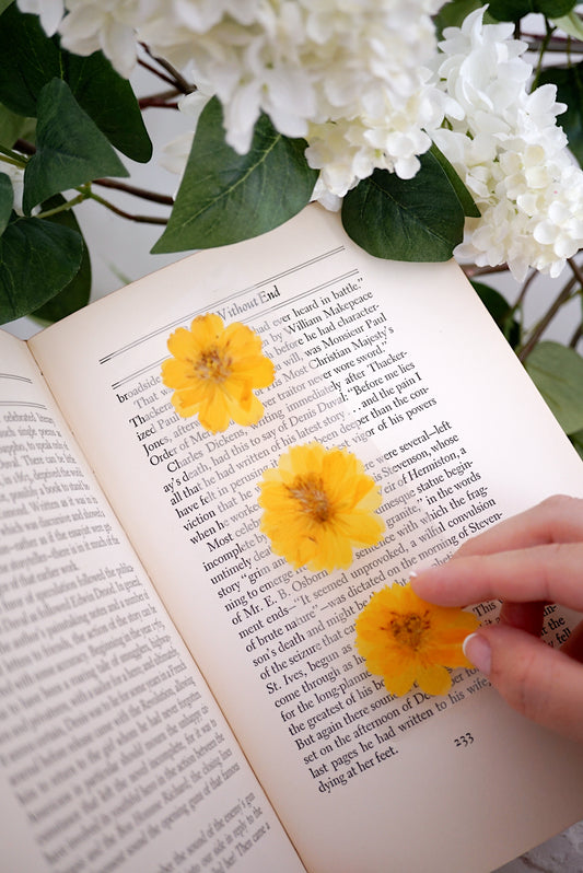 October Cosmos Bookmark | Birth Month Flower Gift