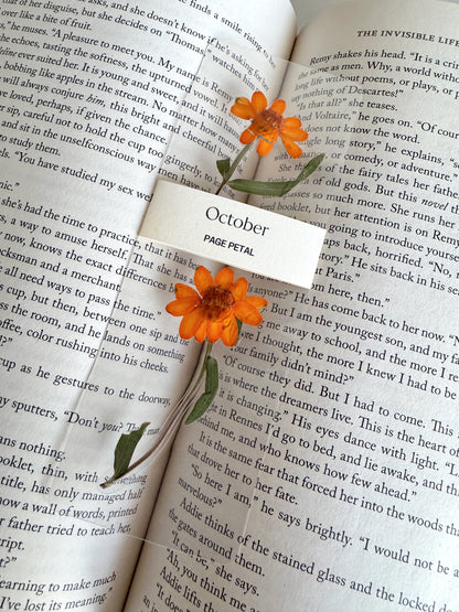 October Birth Month Flower Bookmark