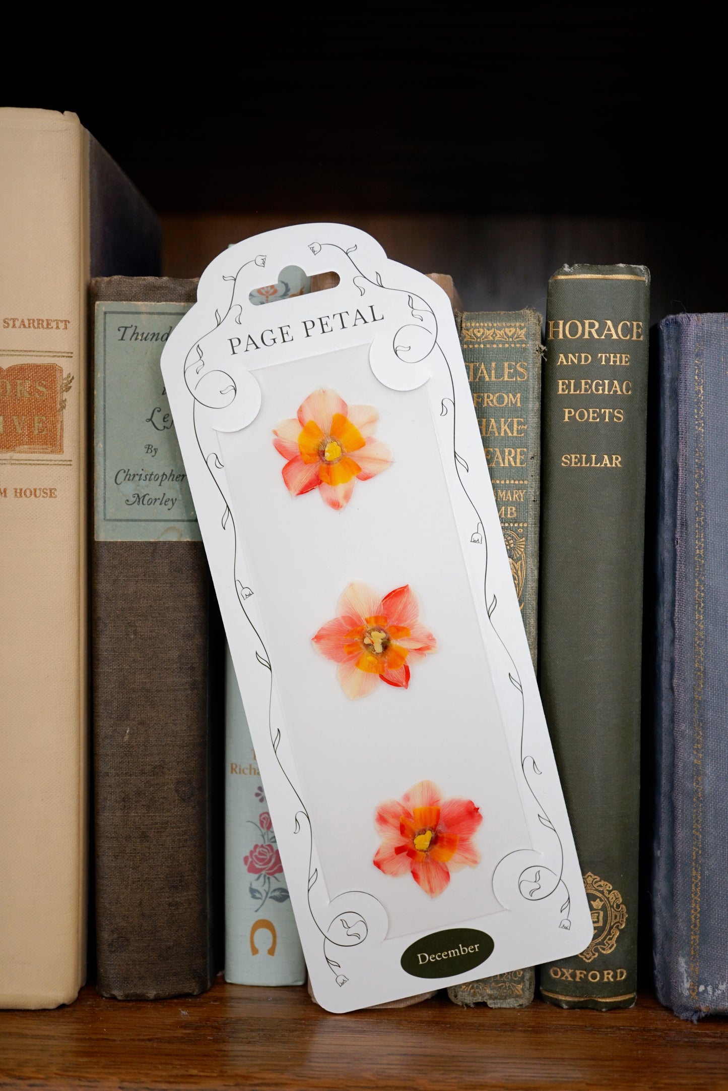December Narcissus Bookmark | Birth Month Flower Gift