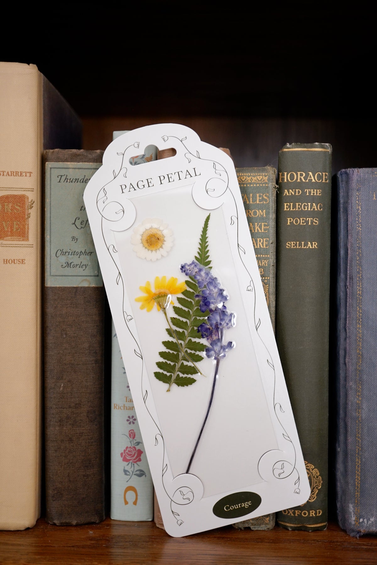Courage Pressed Flower Bookmark | Sentiment Collection