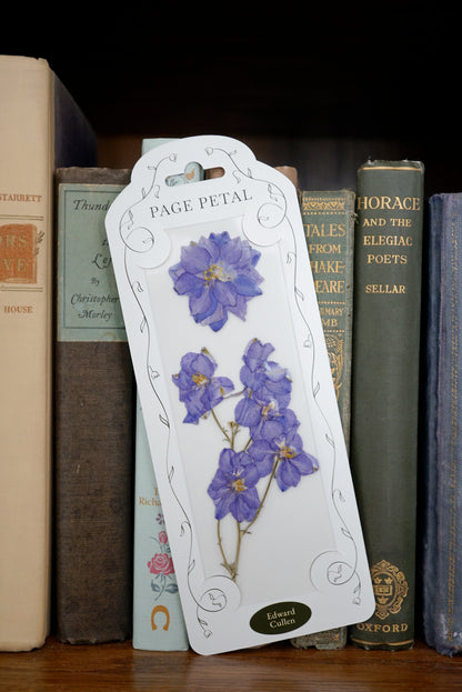 Edward Cullen Bookmark | For the Eternal Romantic