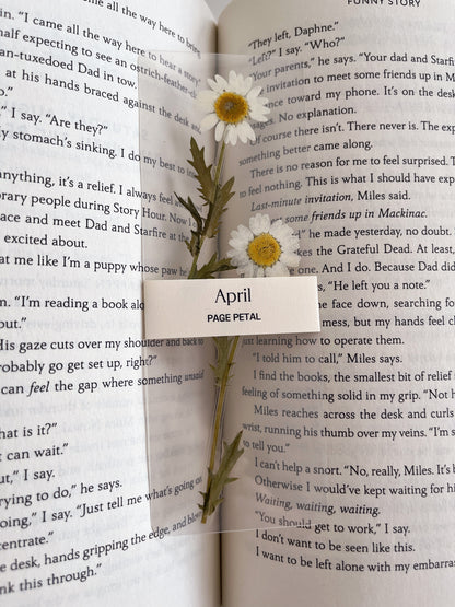 April Birth Month Flower Bookmark