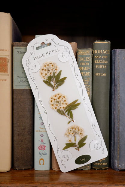 May Birth Month Bookmark | Lily of the Valley Flower