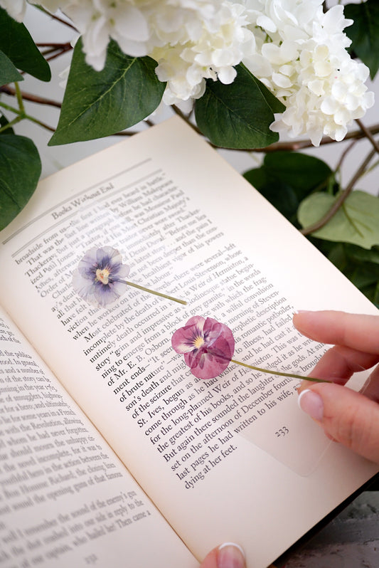 February Violet Bookmark | Birth Month Flower Gift