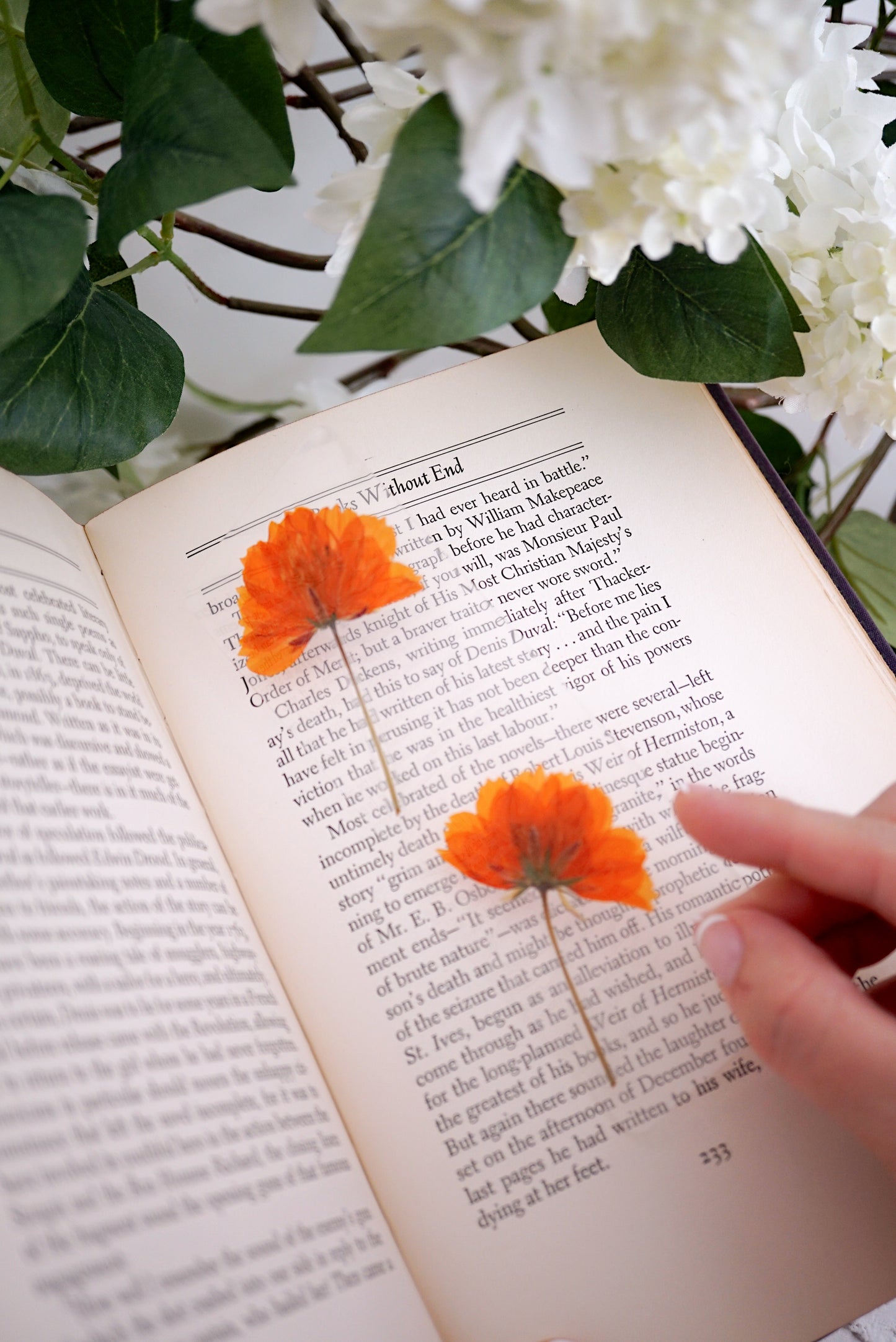 August Poppy Bookmark | Birth Month Flower Gift