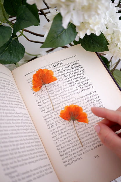August Poppy Bookmark | Birth Month Flower Gift