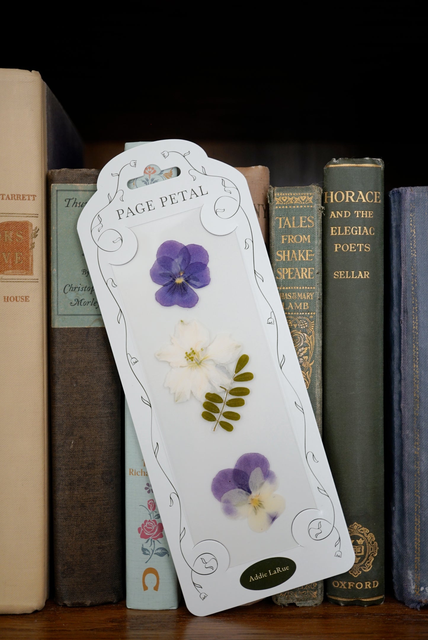 Addie LaRue Bookmark | For the One Who Won't Be Forgotten
