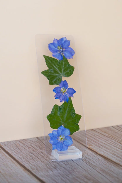 Kai Azer Bookmark