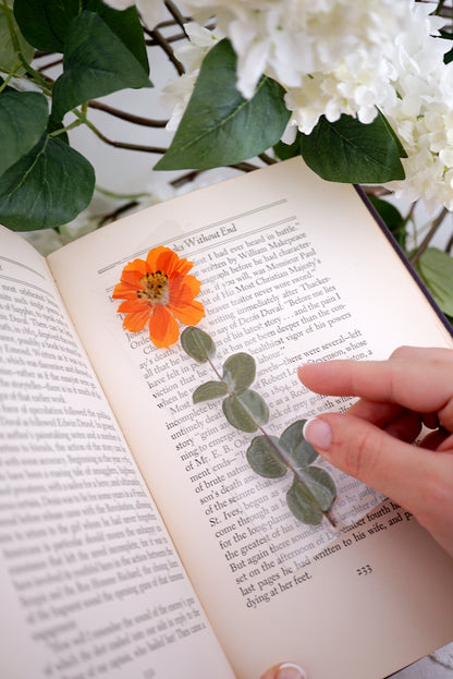 Aelin Galathynius Bookmark | For the Woman Who Blazes