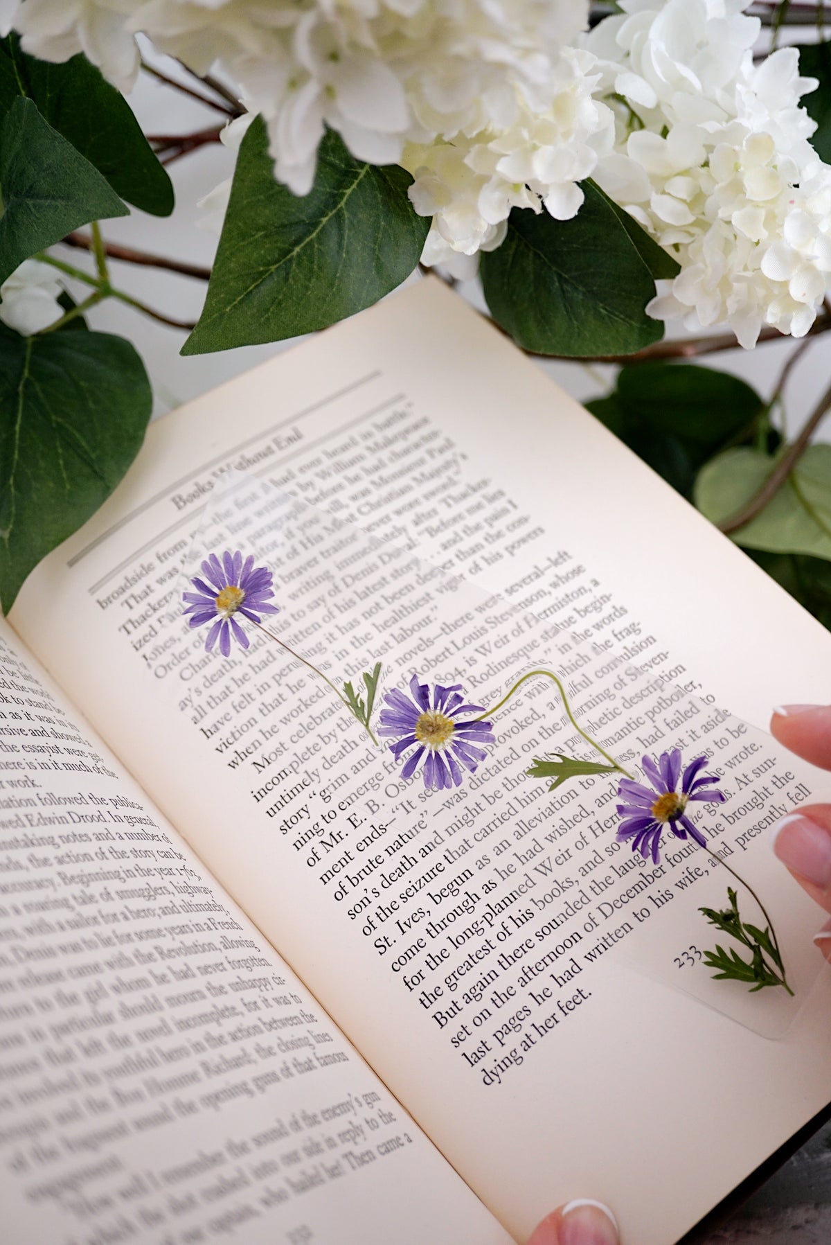 September Aster Bookmark | Birth Month Flower Gift