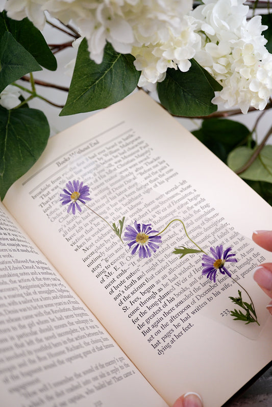 September Aster Bookmark | Birth Month Flower Gift
