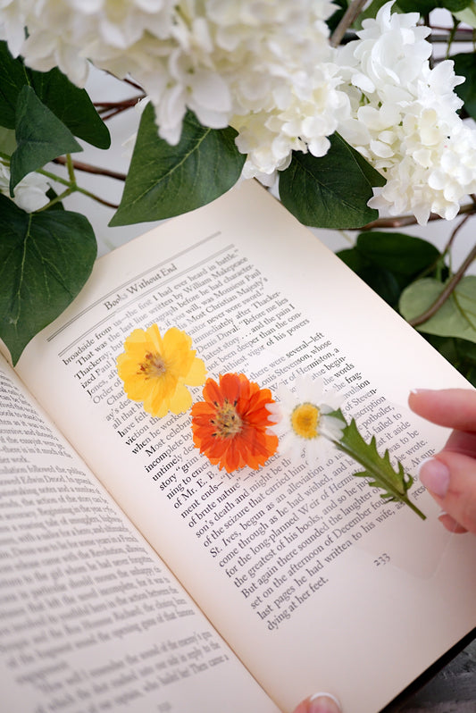 Joy Pressed Flower Bookmark | Sentiment Collection