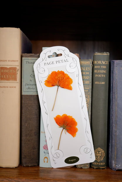 August Poppy Bookmark | Birth Month Flower Gift