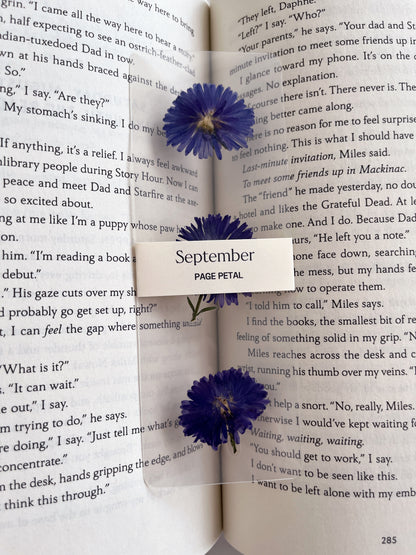 September Birth Month Flower Bookmark