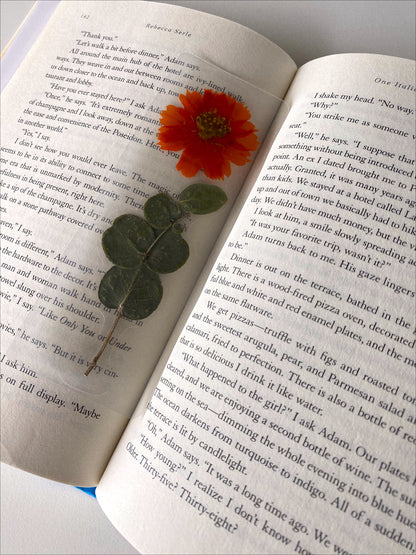 Aelin Galathynius Bookmark