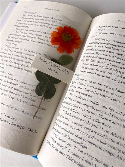 Aelin Galathynius Bookmark