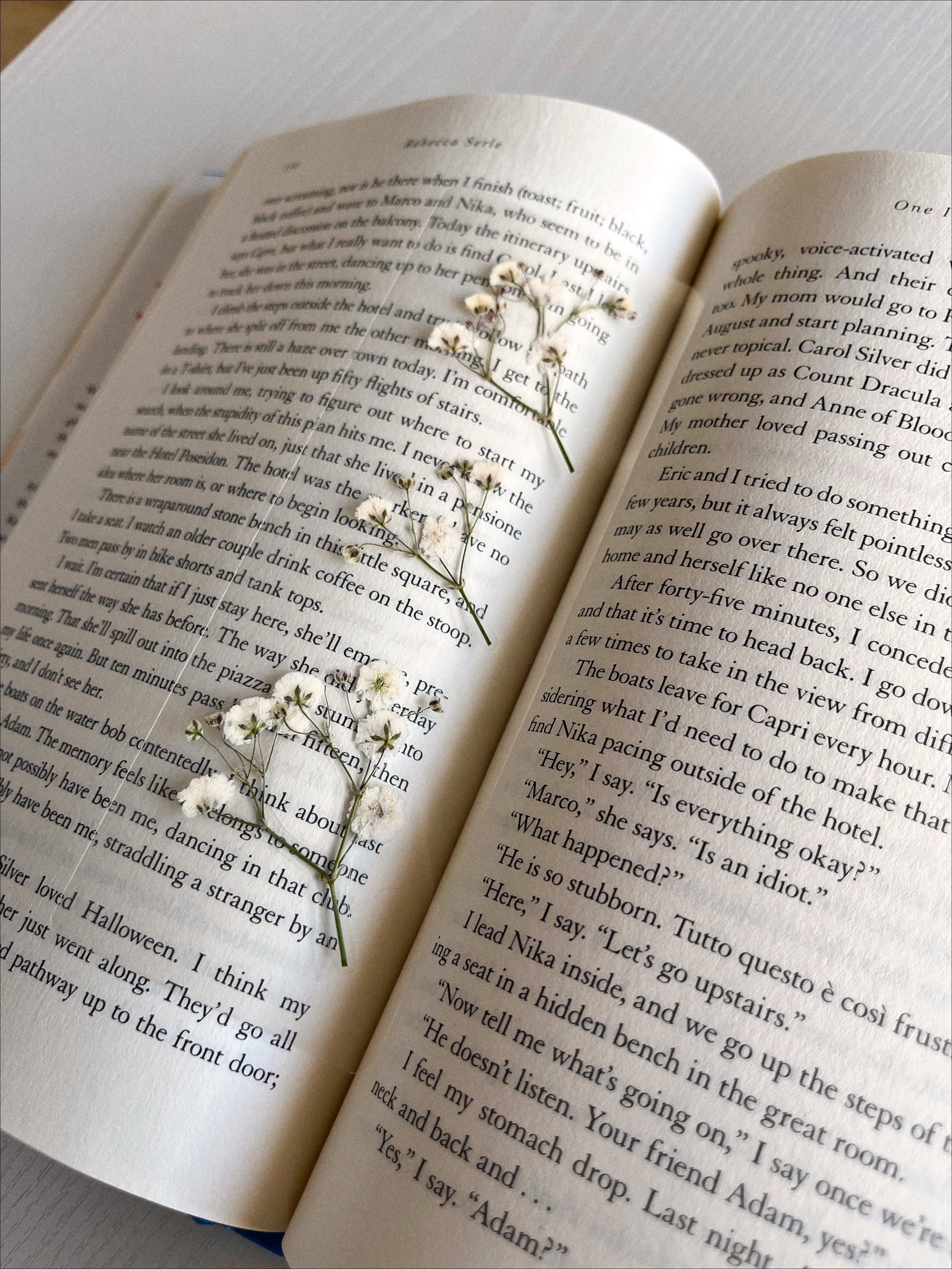 Allie Hamilton | Pressed Flower Bookmarks – Page Petal