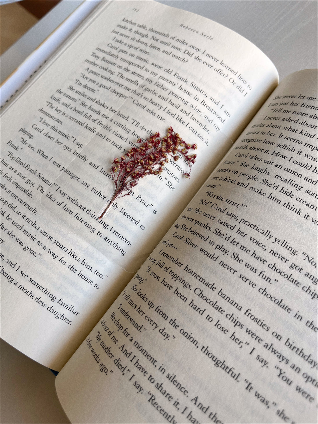 Gilbert Blythe | Bookmarks With Pressed Flowers – Page Petal