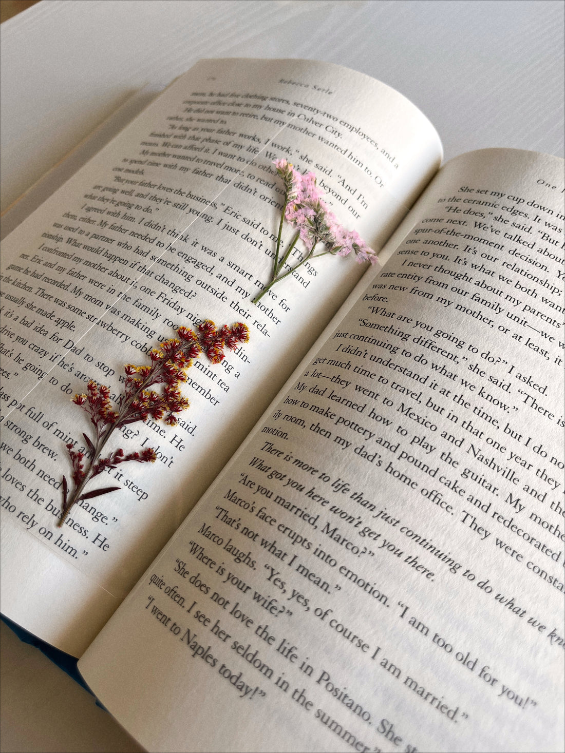 Jo March | Best Pressed Flower Bookmark – Page Petal