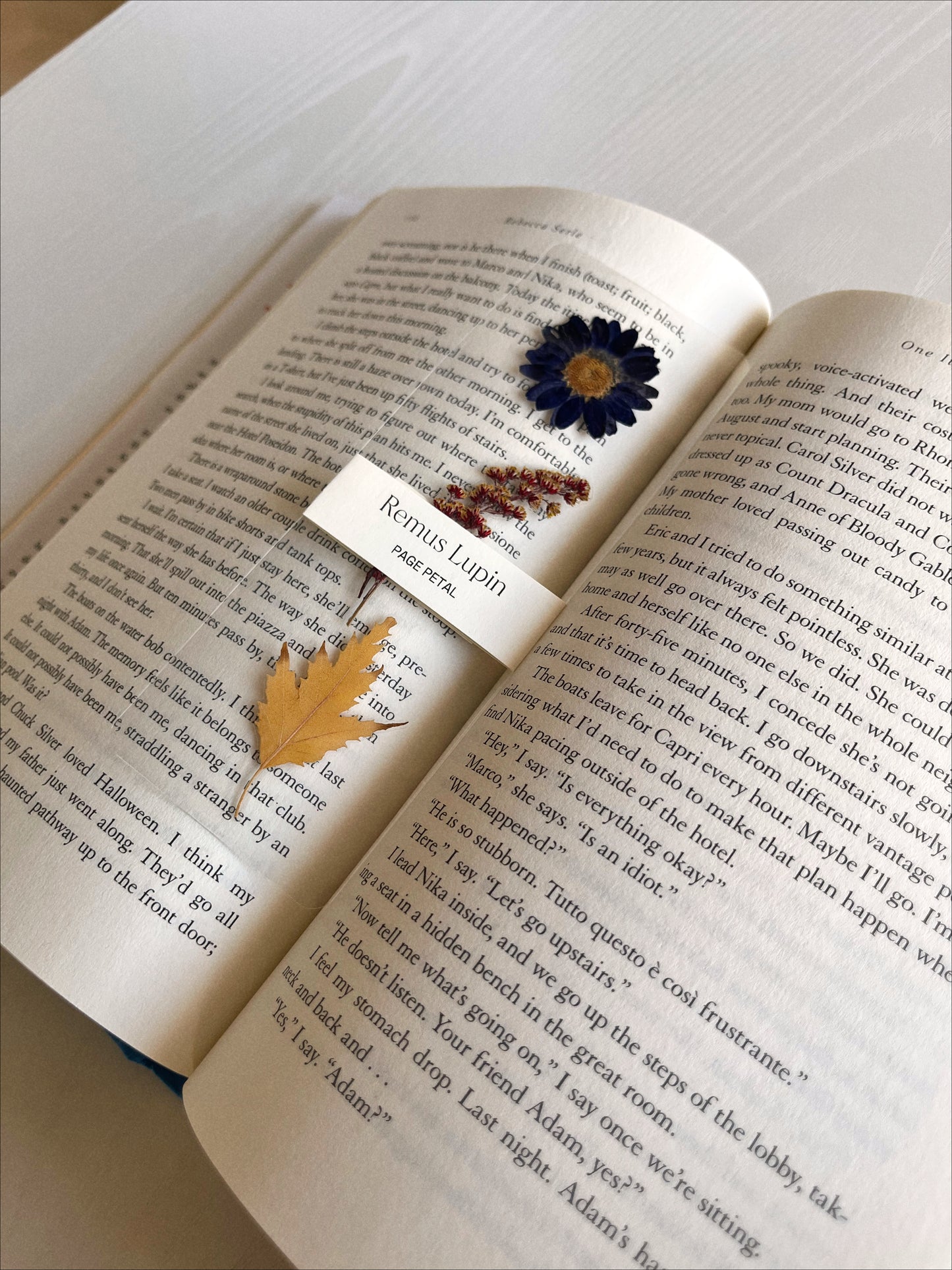 Remus Lupin Bookmark